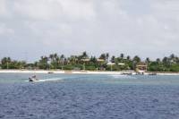 Sức sống xanh ở Trường Sa