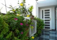 Góc vườn xanh nhỏ bé