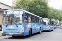 TP.HCM đầu tư sản xuất 300 xe buýt “sạch”
