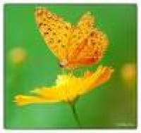 Nằm ngủ tư thế nào thì tốt cho sức khỏe/