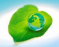 Kế hoạch hành động quốc gia về tăng trưởng xanh