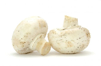 Lợi ích từ nấm