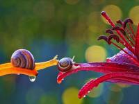 Chùm ảnh tuyệt đẹp về cuộc sống \