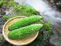 Các thực phẩm vị đắng có lợi cho sức khỏe