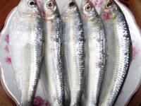 Thực phẩm \'chuyên\' đốt chất béo