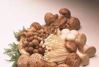 Thực phẩm tốt cho trí não mùa thi