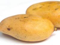 Ích lợi tuyệt vời của xoài