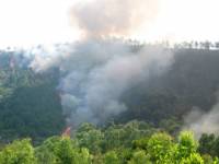 Hàng chục héc ta rừng thông bốc cháy dữ dội